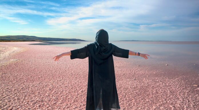 IDEVAW: ‘Jin Jiyan Azadi’ stands for Palestinian comrades